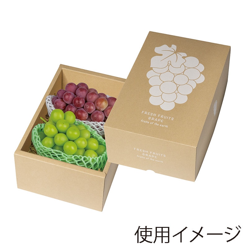 mo2スポコラ31包入り×5箱セット【K1223-1236】 ギフト箱 ぶどうクラフト 2kg L-2528 10枚/束（ご注文単位5束