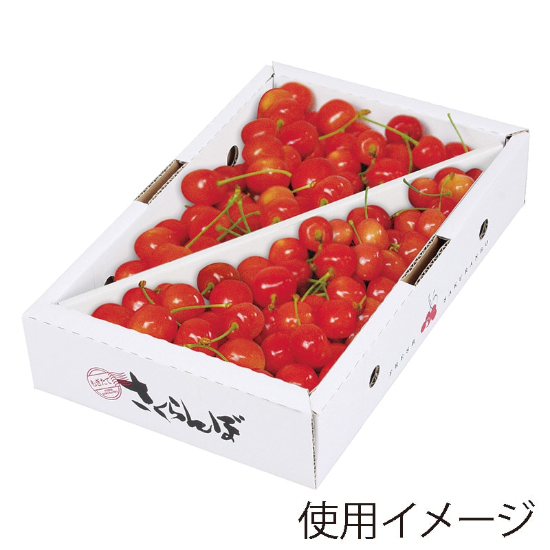 タンボ　箱詰めセット　㉕　沢山 楽天市場】ゴミ箱 分別 おしゃれ 105L セパレーションボックス