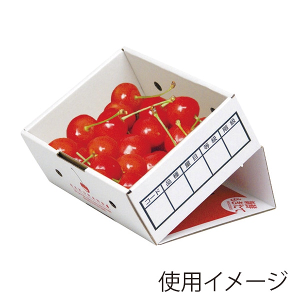 山形さくらんぼ箱 ディスプレー 500g L-8118 50枚/束（ご注文