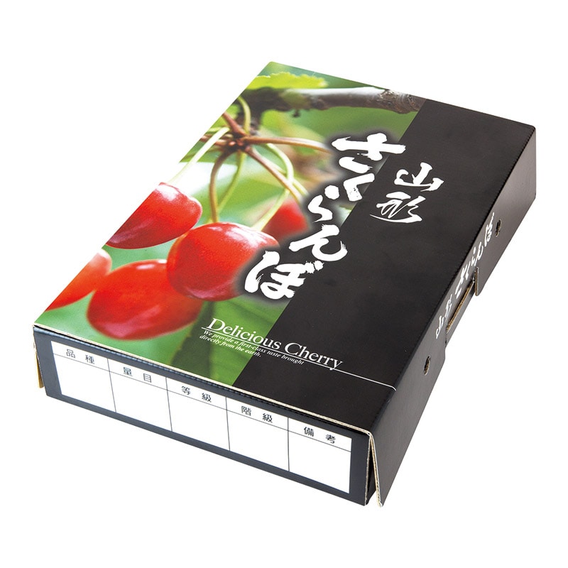 リピーター様さくらんぼ様御購入品＊ ギフト さくらんぼ 佐藤錦 L玉 100g×2個 ダイヤパック 山形 秀