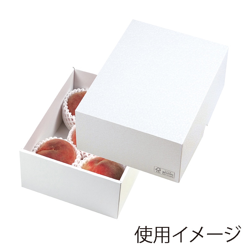 ギフト箱 パールFS 24 LTO-24FS 25枚/束（ご注文単位2束）【直送品