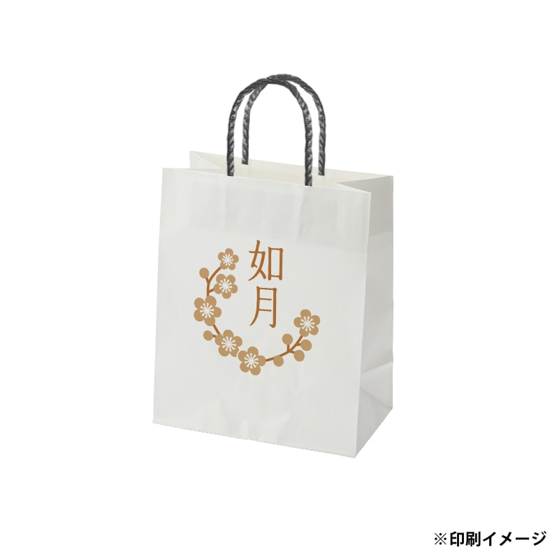 【オリジナル印刷】スムースB22－12　片艶・晒100G ベタ印刷なし1色印刷　1000枚 オプション　PP紐カラー替え 1000枚