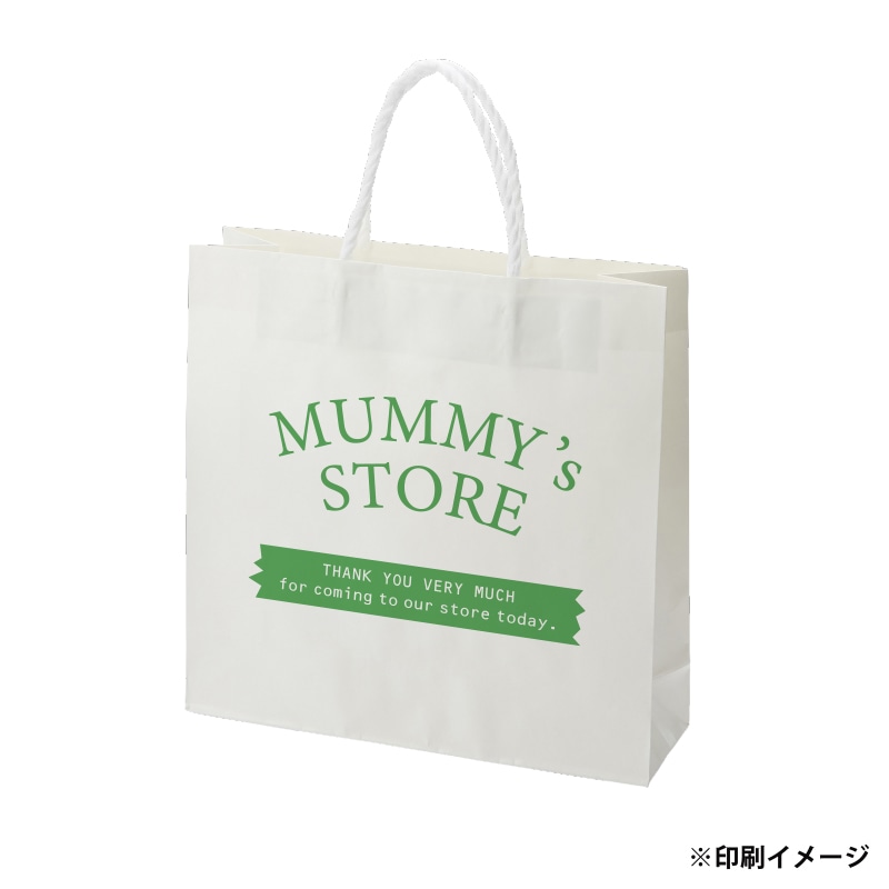 【オリジナル印刷】スムースB3才 片艶・晒120G ベタ印刷なし1色印刷 3000枚 オプション なし 3000枚