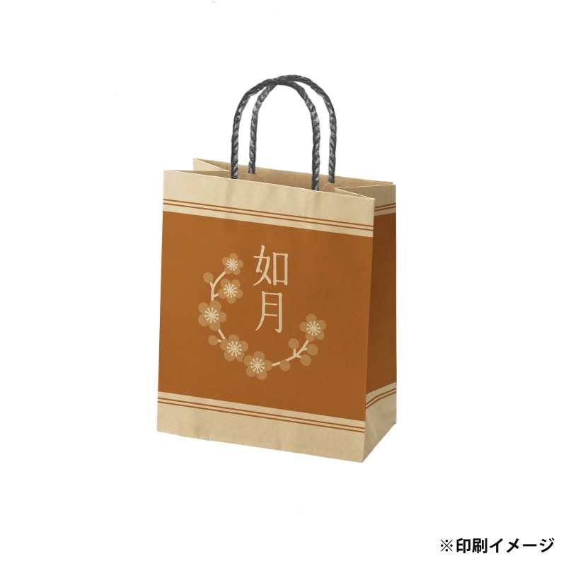 【オリジナル印刷】スムースB22-12 未晒100g(茶) ベタ印刷あり1色印刷 3000枚 オプション PP紐カラー替え 3000枚