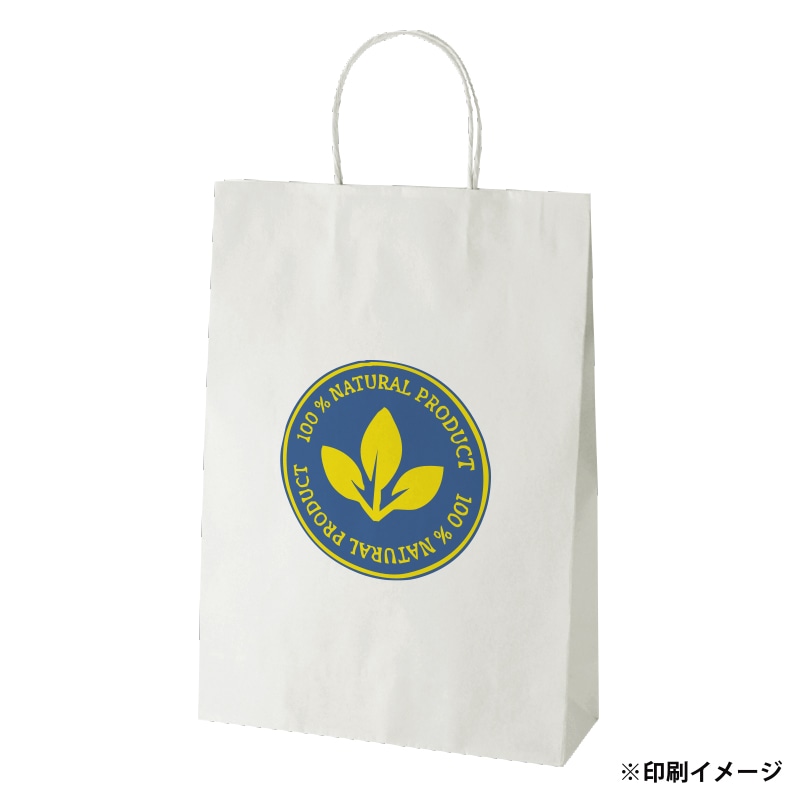【オリジナル印刷】スムースB2才 片艶・晒120G ベタ印刷なし2色印刷 1000枚 オプション ニス 1000枚