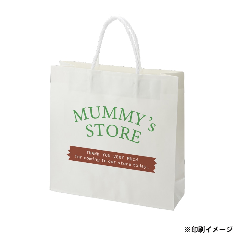【オリジナル印刷】スムースB3才 片艶・晒120G ベタ印刷なし2色印刷 1000枚 オプション なし 1000枚