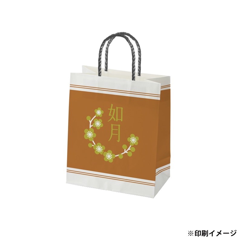 【オリジナル印刷】スムースB22-12 片艶・晒100G ベタ印刷あり2色印刷 1000枚 オプション PP紐カラー替え 1000枚