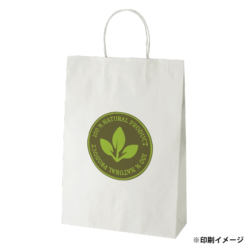 【オリジナル印刷】スムースB2才 片艶・晒120G ベタ印刷なし2色印刷 3000枚 オプション なし 3000枚