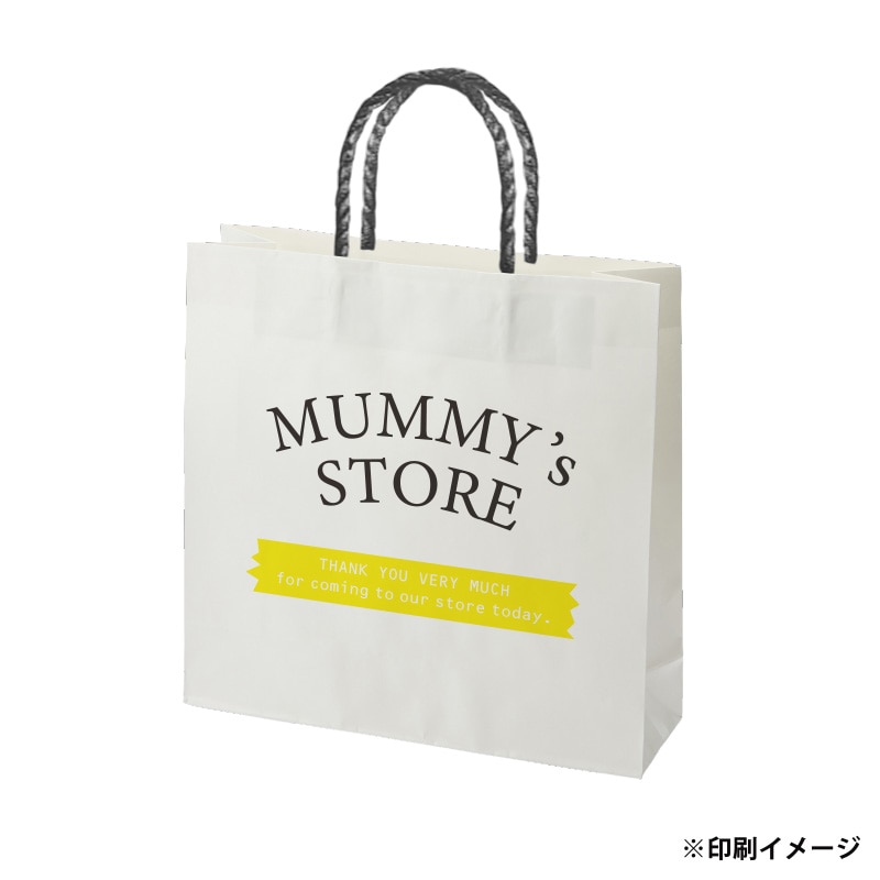 【オリジナル印刷】スムースB3才 片艶・晒120G ベタ印刷なし2色印刷 3000枚 オプション PP紐カラー替え 3000枚