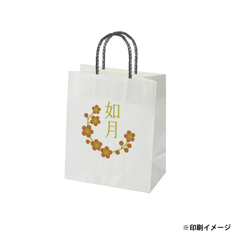 【オリジナル印刷】スムースB22-12 片艶・晒100G ベタ印刷なし2色印刷 3000枚 オプション PP紐カラー替え 3000枚