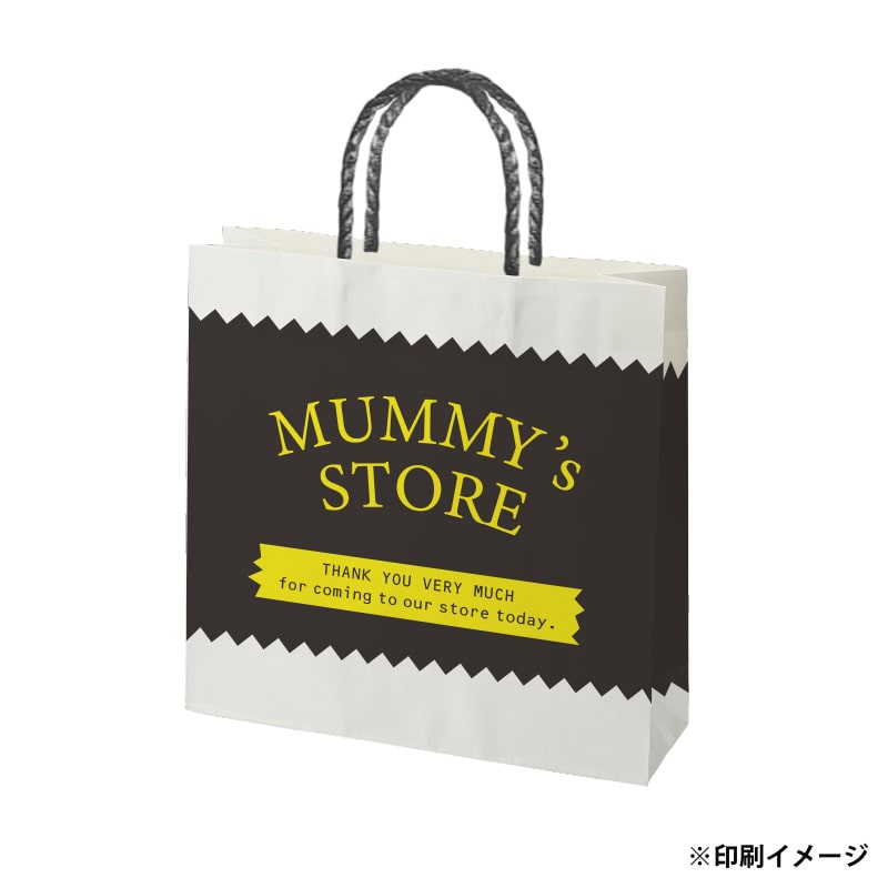 【オリジナル印刷】スムースB3才 片艶・晒120G ベタ印刷あり2色印刷 3000枚 オプション PP紐カラー替え 3000枚