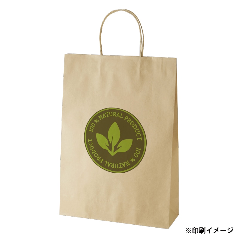 【オリジナル印刷】スムースB2才 未晒120g(茶) ベタ印刷なし2色印刷 3000枚 オプション なし 3000枚