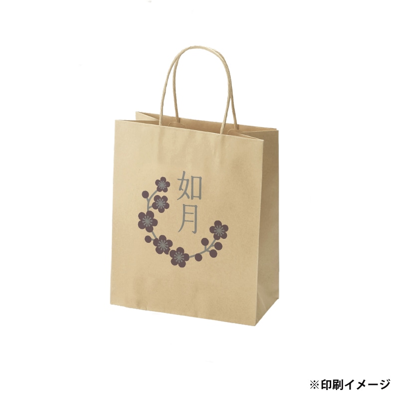 【オリジナル印刷】スムースB22-12 未晒100g(茶) ベタ印刷なし2色印刷 3000枚 オプション なし 3000枚