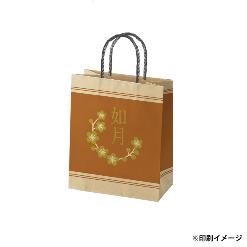 【オリジナル印刷】スムースB22-12 未晒100g(茶) ベタ印刷あり2色印刷 3000枚 オプション PP紐カラー替え 3000枚