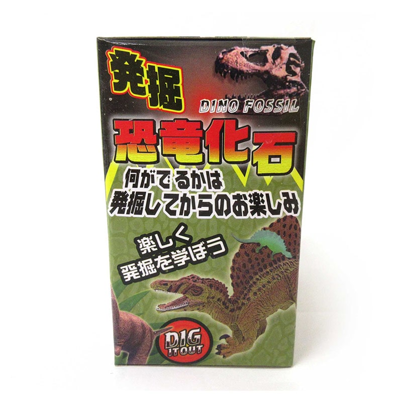 恐竜の化石　ナイフ　登録証付き 恐竜の化石 ナイフ 登録証付き - メルカリ