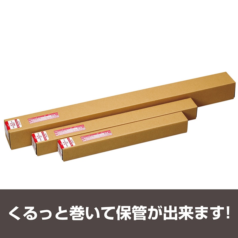 定価12万円　ロングボード　数回使用程度　ワックスシート付 定価12.3万円 ロングボード 数回使用程度 ワックスシート付