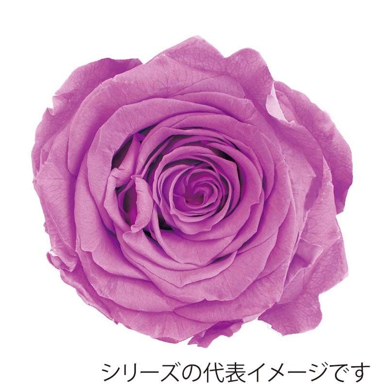 プリザーブドライフラワー プリザーブドフラワー ナチュラルローズフレーム スクエア トール