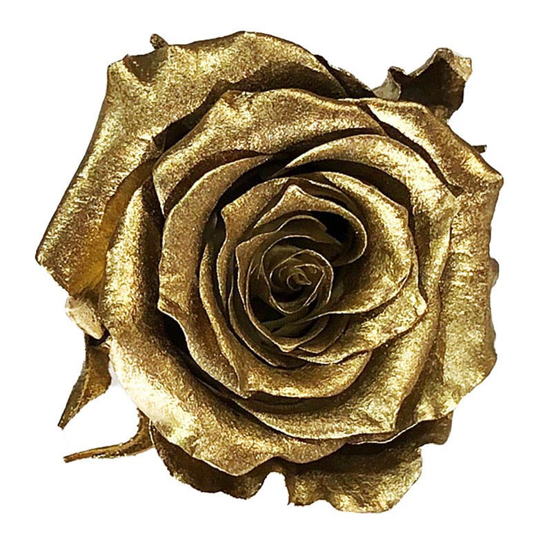 プリザーブドフラワー ゴールド」 包装用品・店舗用品の業務用通販