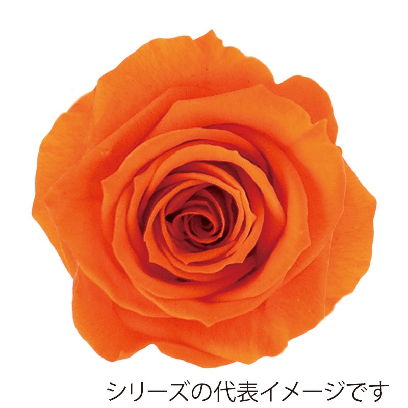 prime-roseさま専用ページ エレガントローズサテン小物/シュシュ（ピンクベージュ） | 横浜