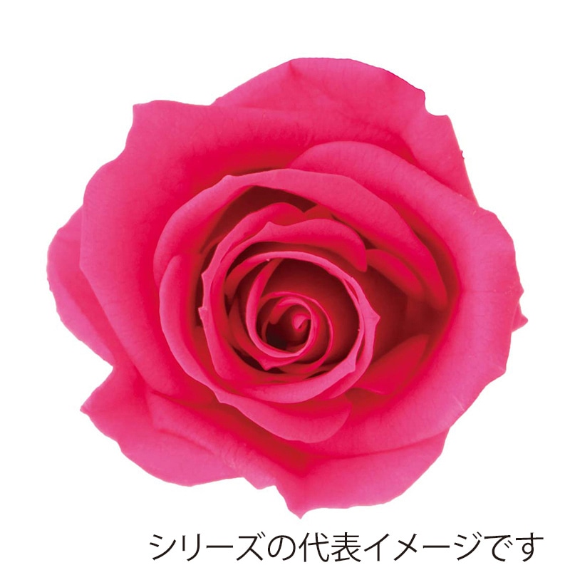 モンマリエ(ブーケピンク)2点※Mサイズ モンマリエ(ブーケピンク)2点※Mサイズ モンマリエ(ブーケピンク