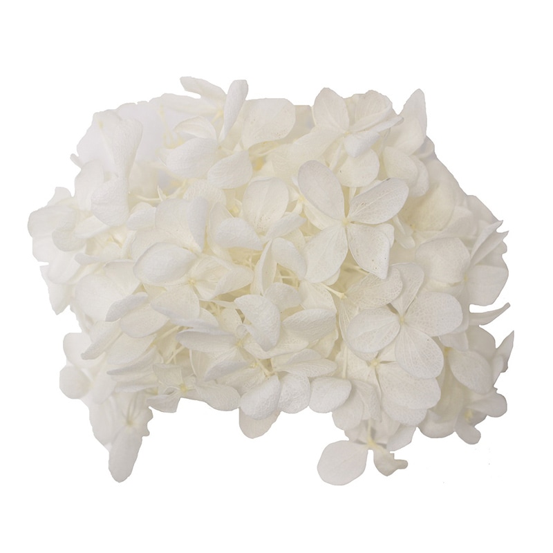 アジサイ.。o○ OW M モノ・インターナショナル MONO プリザーブドフラワー GPP-01