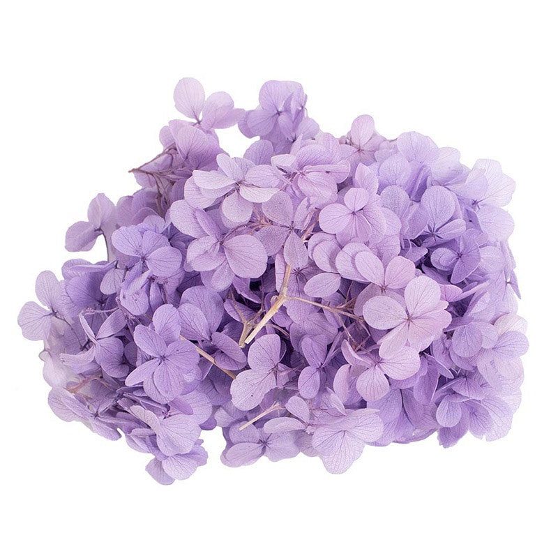 アジサイ.。o○ OW M モノ・インターナショナル MONO プリザーブドフラワー GPP-01