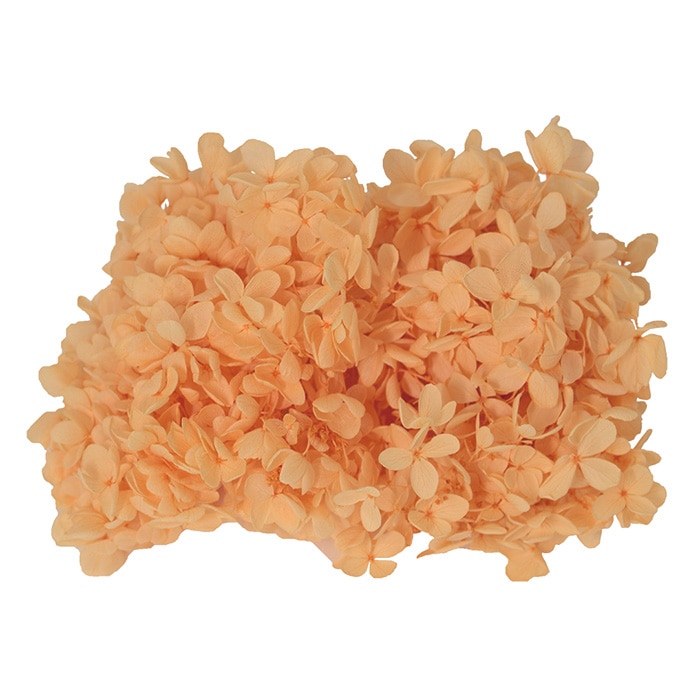 アジサイ.。o○ OW M モノ・インターナショナル MONO プリザーブドフラワー GPP-01