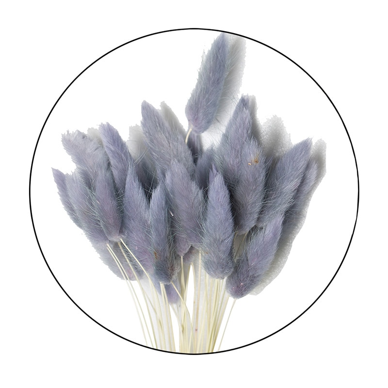 モノ・インターナショナル MONO ドライフラワー GPDRA-05 ラグラス グレー 1袋(ご注文単位1袋)【直送品】