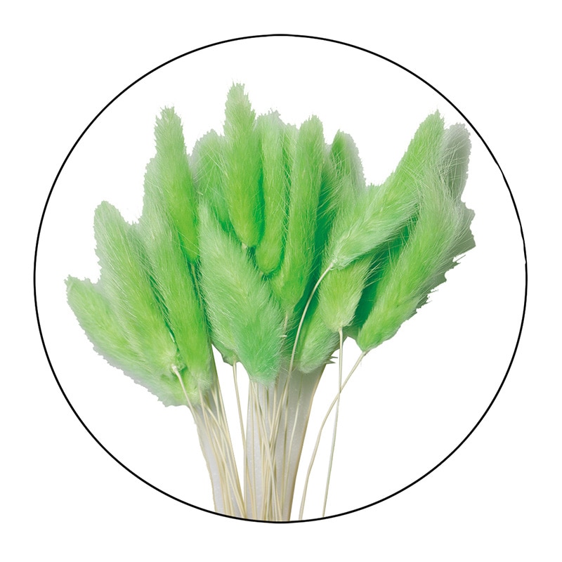 モノ・インターナショナル MONO ドライフラワー GPDRA-06 ラグラス グリーン 1袋(ご注文単位1袋)【直送品】