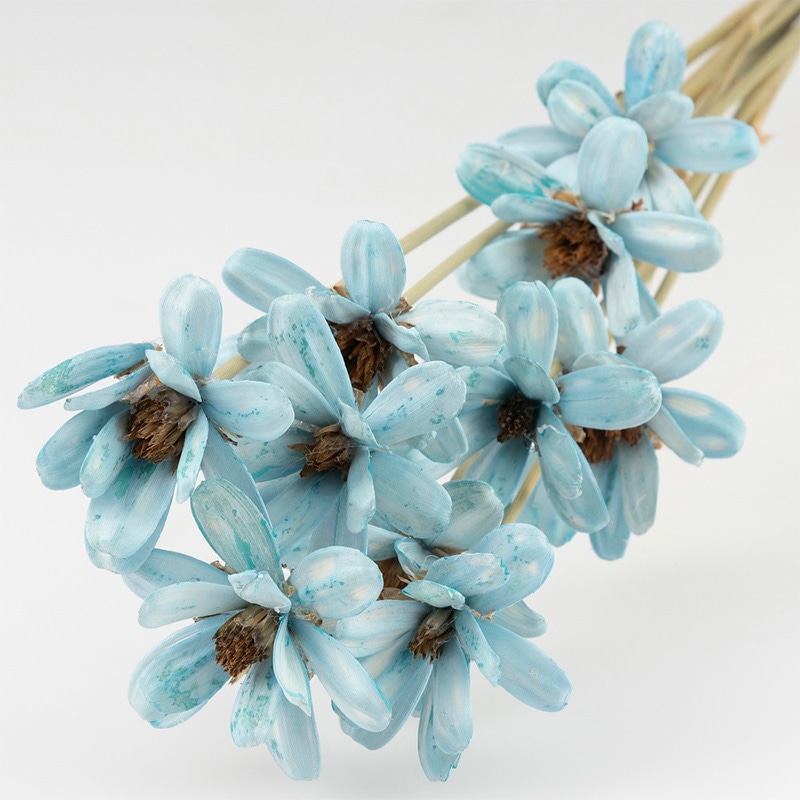 エメラルド プチ 6A グリーン サンフラワー コーム エメラルド プチ 6A グリーン サンフラワー コーム エメラルド プチ 6A