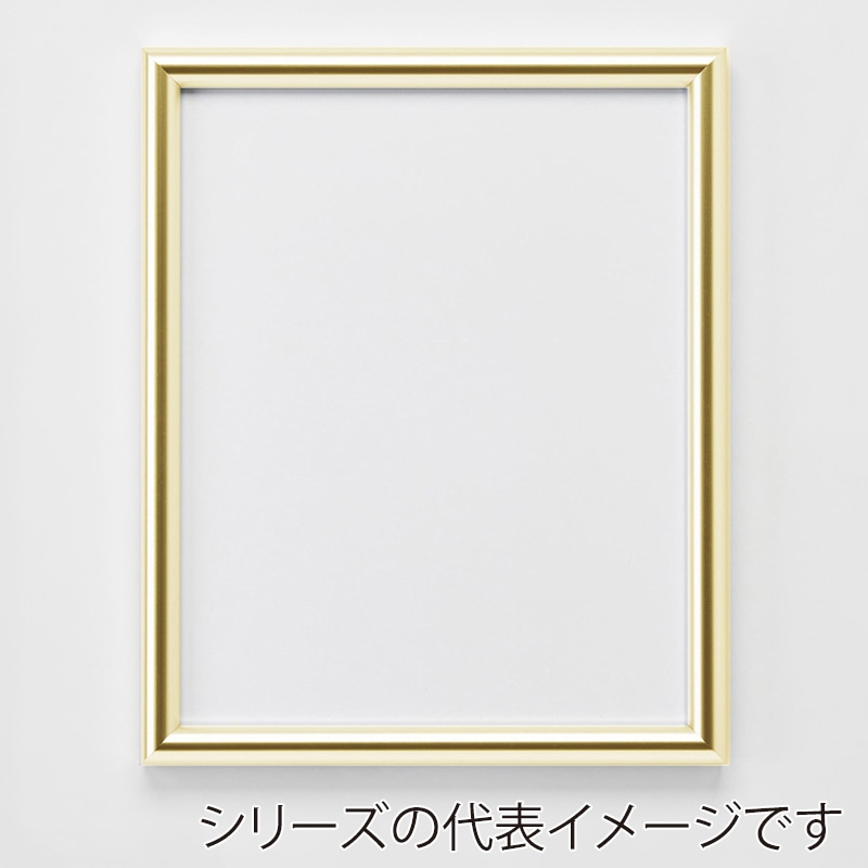 アルナ デッサン額 IC MO判 900×700mm ゴールドフレーム 1個(ご注文単位1個)【直送品】
