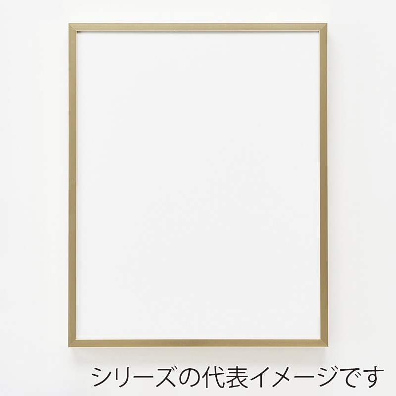 額縁 額 フレーム アルミ アルミフレーム アクリル アルナ デッサン額 モントレ A0 ナチュラル 作品 壁 壁面 おしゃれ インテリア 額縁 額 フレーム アルミ アルミフレーム アクリル アルナ デッサン額