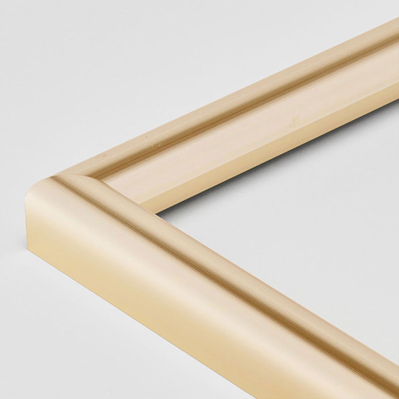 アルナ デッサン額　IC A-5　210×148mm ゴールドフレーム 1個（ご注文単位1個）【直送品】