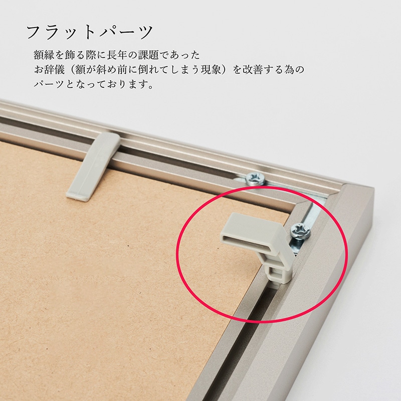 アルナ デッサン額　IC A-5　210×148mm ゴールドフレーム 1個（ご注文単位1個）【直送品】