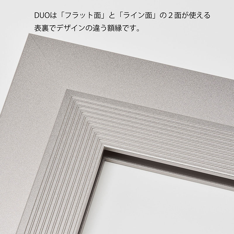 アルナ デッサン額 DUO 太子 379×288mm マットシルバーフレーム