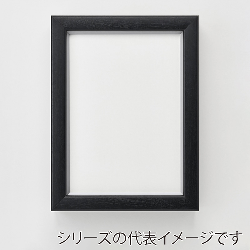 アルナ コレクションケース・仮縁　ボルドー　イリコ付 P-30　909×652mm ビターフレーム 1個（ご注文単位1個）【直送品】