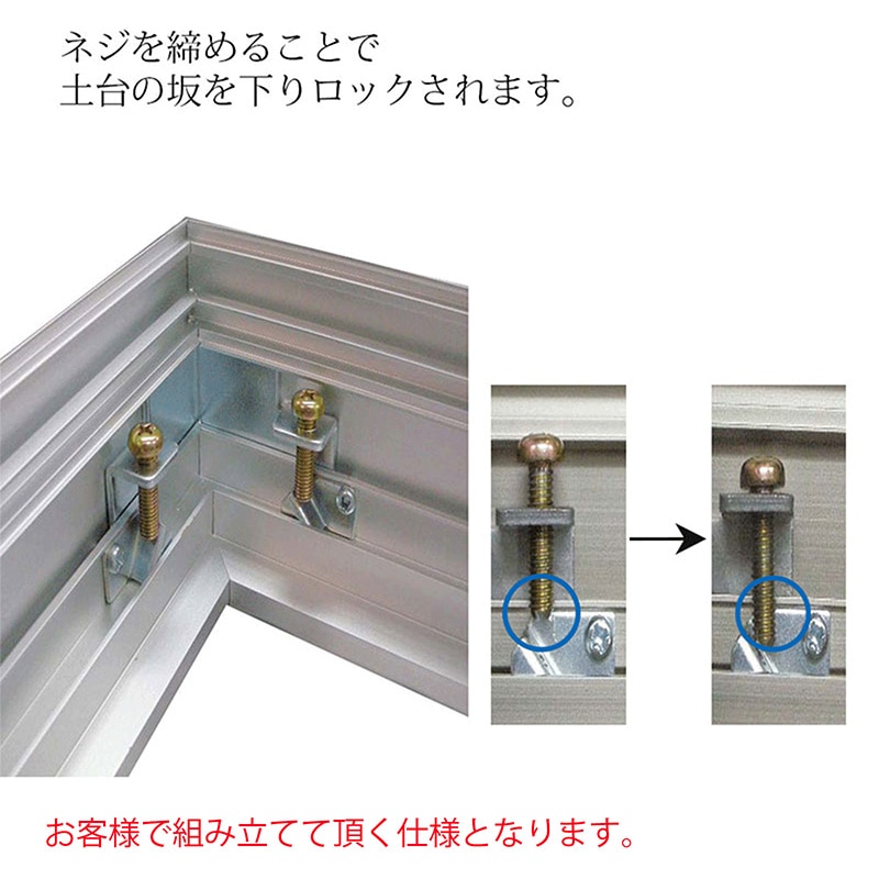 アルナ コレクションケース・仮縁　ボルドー　イリコ付 P-30　909×652mm ビターフレーム 1個（ご注文単位1個）【直送品】