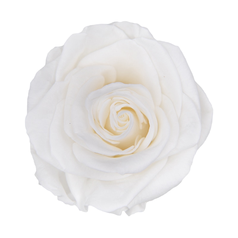 フロールエバー プリザーブドフラワー プレミアムローズ パールホワイト FL0900-01 3輪/箱(ご注文単位1箱)【直送品】