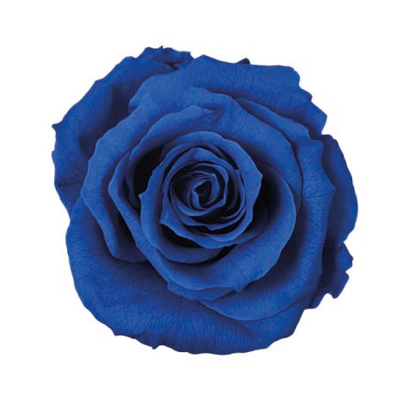 プリザーブドフラワー 花材(No.20) ローズ 12個 Amazon｜プリザーブド