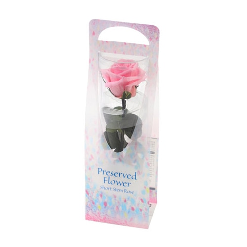 フロールエバー プリザーブドフラワー ショートステムローズ ビードロ