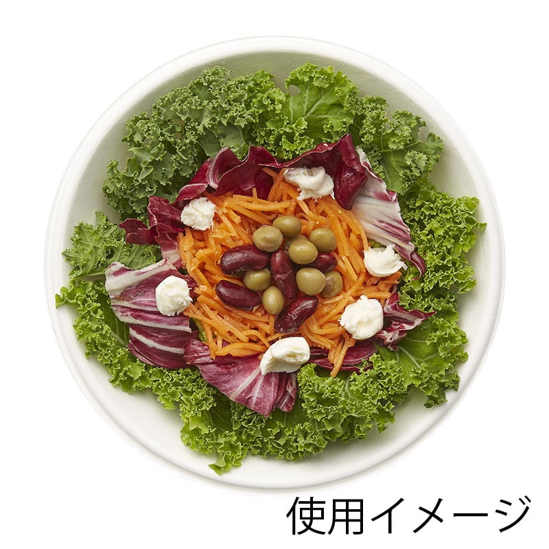 シモジマHEIKO 紙皿 バガスペーパーウェア 徳用 プレート GP-15 #0044660801セット（1200枚：50枚×24パック） シモジマHEIKO 紙皿 バガスペーパーウェア 徳用 プレート GP-18