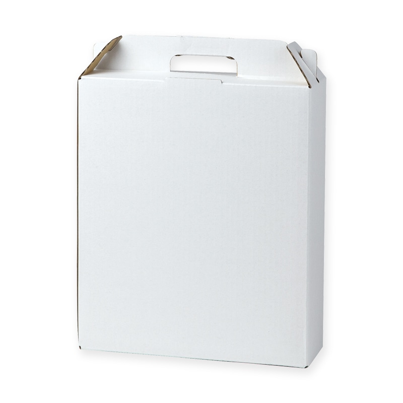 ヤマニパッケージ 缶ビール箱 ハンディケース 350ml×2本 K-1569FSR 200