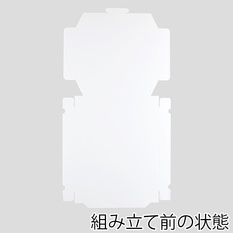 業務用 ピザ箱 白無地 プレーンタイプ 12インチ ピザボックス 100枚入 宅配 デリバリー テイクアウト 紙容器 使い捨てピザ直径32.5cmまでOK　日本製 店舗用 テイクアウト用ピザ箱 100枚入 12インチ ピザボックス