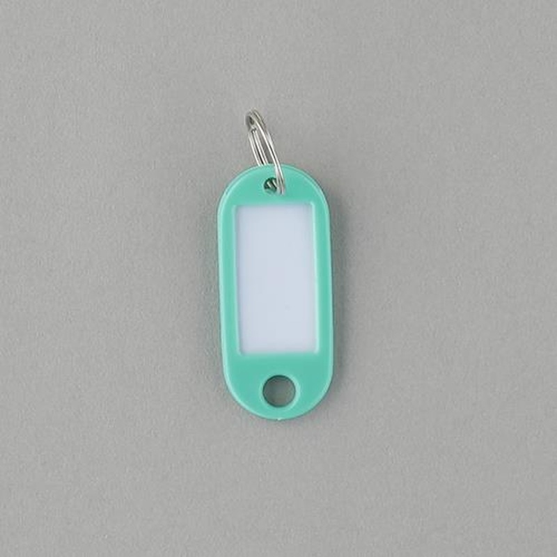 エスコ EA956VL-211 22x52mmネームタグ(緑/5個) 1個(ご注文単位1個)【直送品】