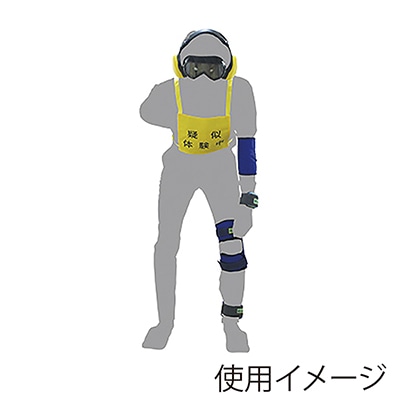 高齢者疑似体験教材 スタンダード2 00276669 1個（ご注文単位1個