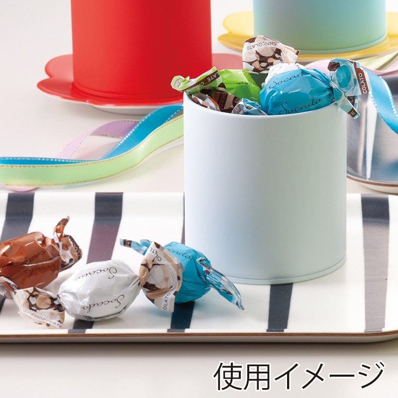 日東産業 カラー缶 ソフトマットキャニスター 100S0W 白 1個（ご