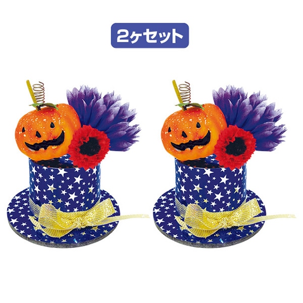 アルファ パンプキンハット 2個セット TE4-1104 1セット(ご注文単位1セット)【直送品】