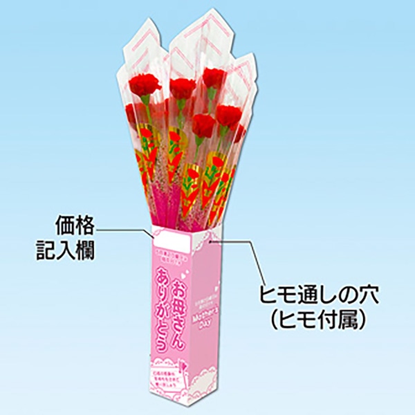 アルファ カーネーション 店頭販売キット 20本 MA1-2000 1セット(ご注文単位1セット)【直送品】