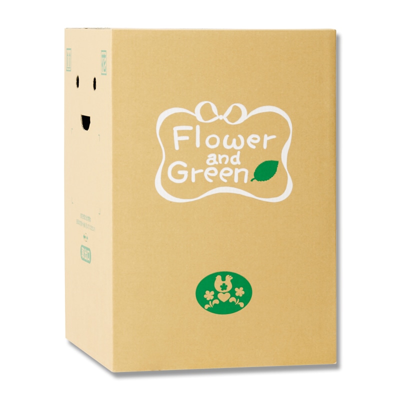 【あーたんページ】箱包装代金 Asmix アスミックス 手提げ金庫【A5】＜ダイヤル錠＞(紙幣/硬貨