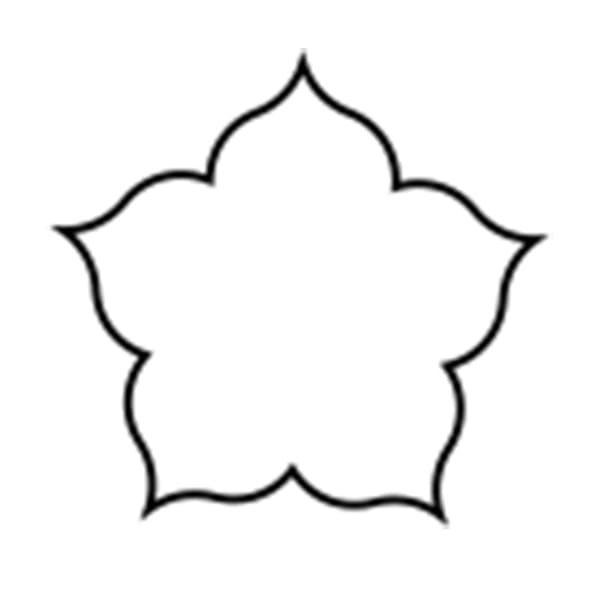 孝義　生抜 キキョウ　D 373005430 1個（ご注文単位1個）【直送品】